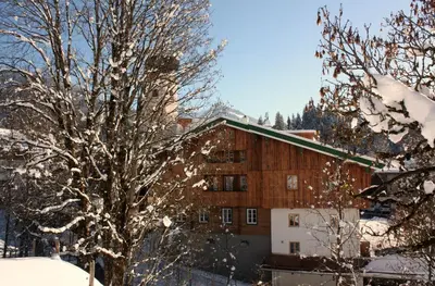 Hallerwirt Homes im Winter