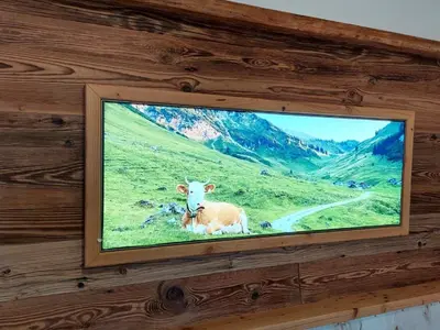 TV/Unterhaltungsangebot in der Unterkunft Erbhof Fritzing