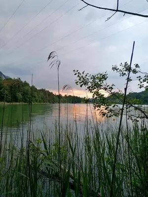 Naturlandschaft in der Nähe der Ferienwohnung