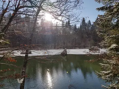 Naturlandschaft in der Nähe der Ferienwohnung