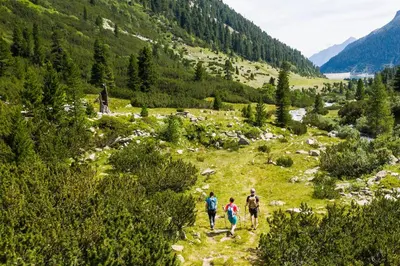 Naturlandschaft in der Nähe des Ferienhauses