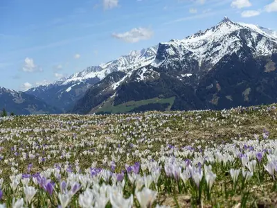 Naturlandschaft in der Nähe des Ferienhauses