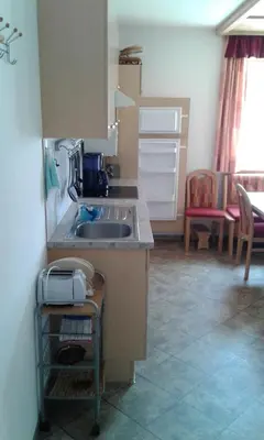 Küche/Küchenzeile in der Unterkunft Appartment Steger Klara