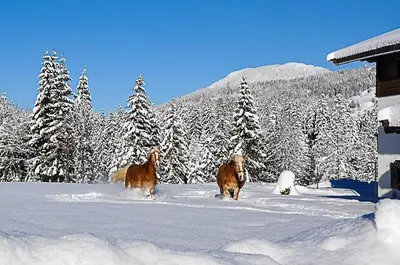 Bauernhof Niederfilzboden im Winter