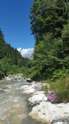 Naturlandschaft in der Nähe des Ferienhauses