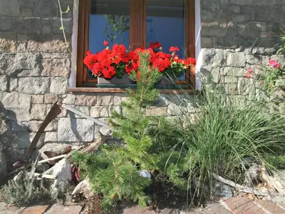 Ein Garten an der Unterkunft Apartment Chalet Astholz by Interhome