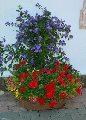 Ein Garten an der Unterkunft Gästehaus Friedl