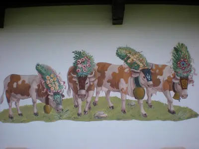 Tiere in der Pension oder in der Nähe