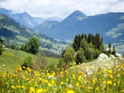 Naturlandschaft in der Nähe der Ferienwohnung