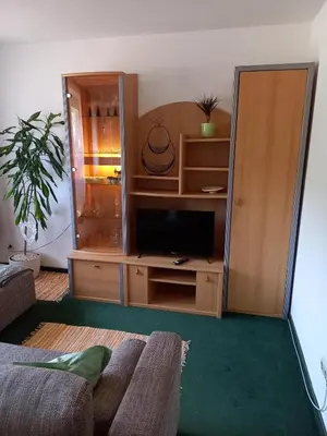 TV/Unterhaltungsangebot in der Unterkunft Haus Auebach