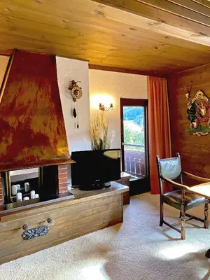 TV/Unterhaltungsangebot in der Unterkunft Goldspecht - Boho Appartements