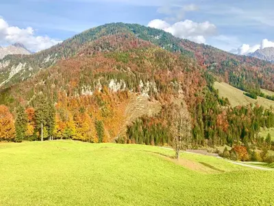Naturlandschaft in der Nähe des Ferienhauses