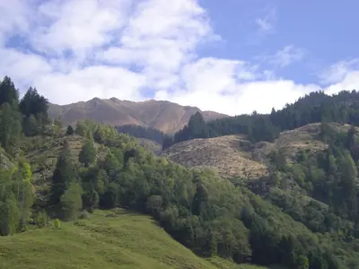 Naturlandschaft in der Nähe des Bauernhofs