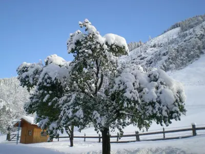 Schiederhof im Winter