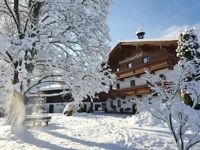 Bauernhof Hanslingerhof im Winter