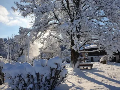 Bauernhof Hanslingerhof im Winter