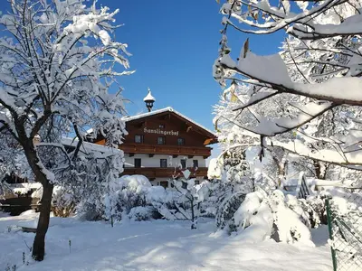 Bauernhof Hanslingerhof im Winter