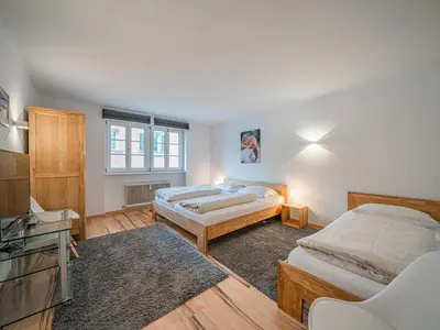 Ein Bett oder Betten in einem Zimmer der Unterkunft Apartment Gorilla