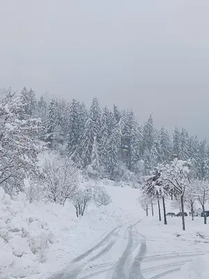 Alpenoase Horbergbahn im Winter