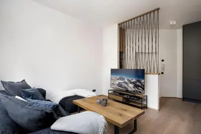 TV/Unterhaltungsangebot in der Unterkunft Apartment 1919
