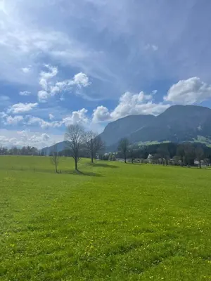 Naturlandschaft in der Nähe der Ferienwohnung