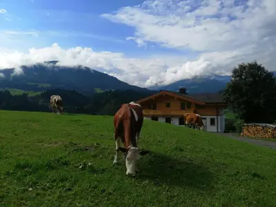 Naturlandschaft in der Nähe des Bauernhofs