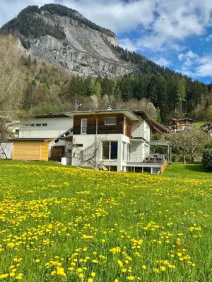Ein allgemeiner Bergblick oder ein Berglick von der Ferienwohnung aus