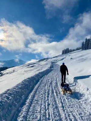 s'pölven NEST im Winter