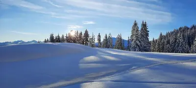 Ferienwohnung Wallner im Winter