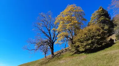 Naturlandschaft in der Nähe der Ferienwohnung