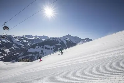 Skifahren in der Ferienwohnung oder in der Nähe