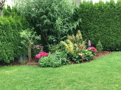 Ein Garten an der Unterkunft Appartement Gernot