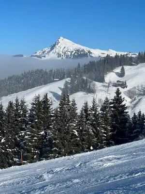 Appartement Gernot im Winter