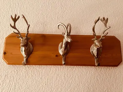 Tiere in der Ferienwohnung oder in der Nähe