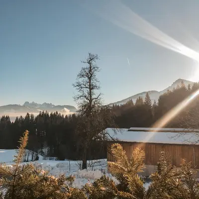 Naturlandschaft in der Nähe der Ferienwohnung