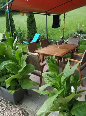 Ein Garten an der Unterkunft Upcycling Appartement Fischl - Nachhaltig und Kreativ Wohnen für Groß und klein