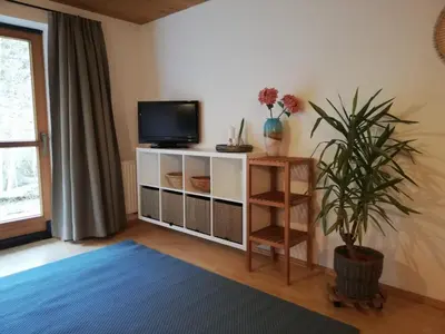 TV/Unterhaltungsangebot in der Unterkunft Haus Jenewein