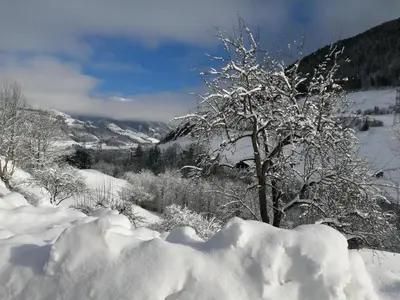 Hintergugg im Winter