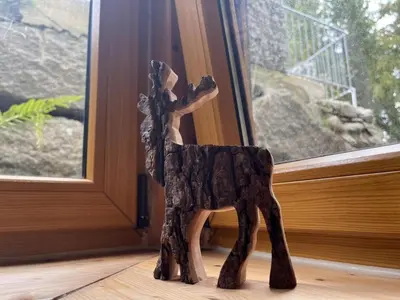 Tiere in der Ferienwohnung oder in der Nähe