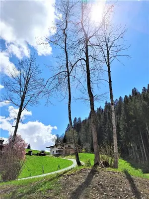 Naturlandschaft in der Nähe der Ferienwohnung