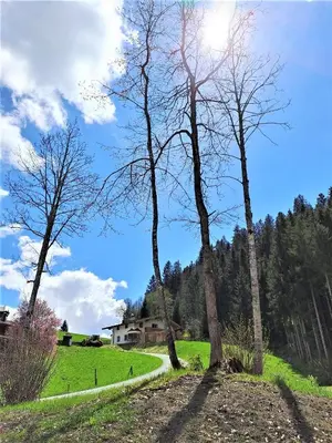 Naturlandschaft in der Nähe der Ferienwohnung
