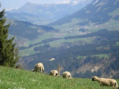 Naturlandschaft in der Nähe des Ferienhauses