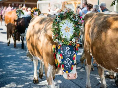 Tiere in der Ferienwohnung oder in der Nähe