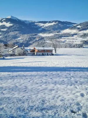 Berg Apartment Barbara im Winter