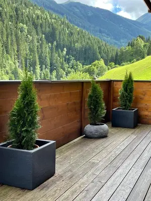 Ein allgemeiner Bergblick oder ein Berglick von der Ferienwohnung aus