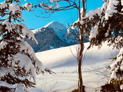Studio in Saalbach near Ski Slopes im Winter