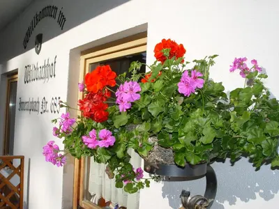 Grundriss der Unterkunft Appartementhaus Wildbachhof