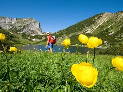 Naturlandschaft in der Nähe der Ferienwohnung