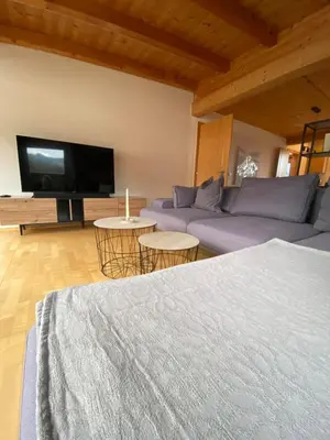 TV/Unterhaltungsangebot in der Unterkunft Apartment Bergzauber