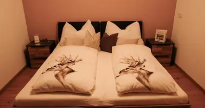 Ein Bett oder Betten in einem Zimmer der Unterkunft Apartment Dicka